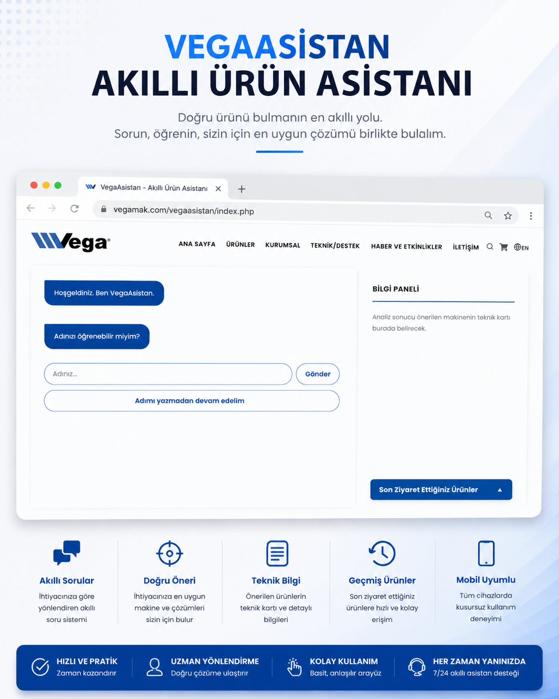 VegaAsistan