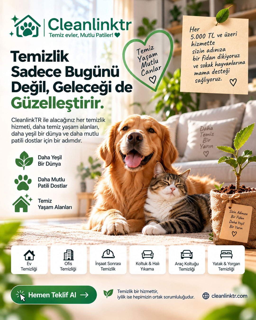 Tanıtım